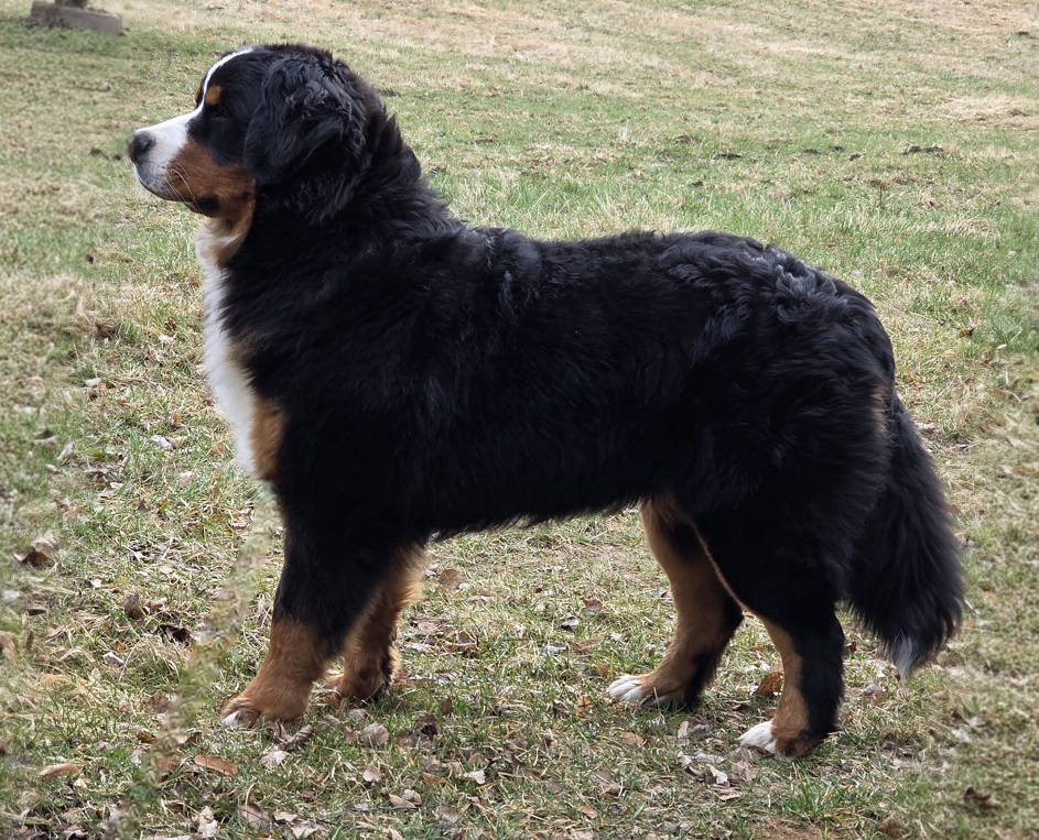 10m