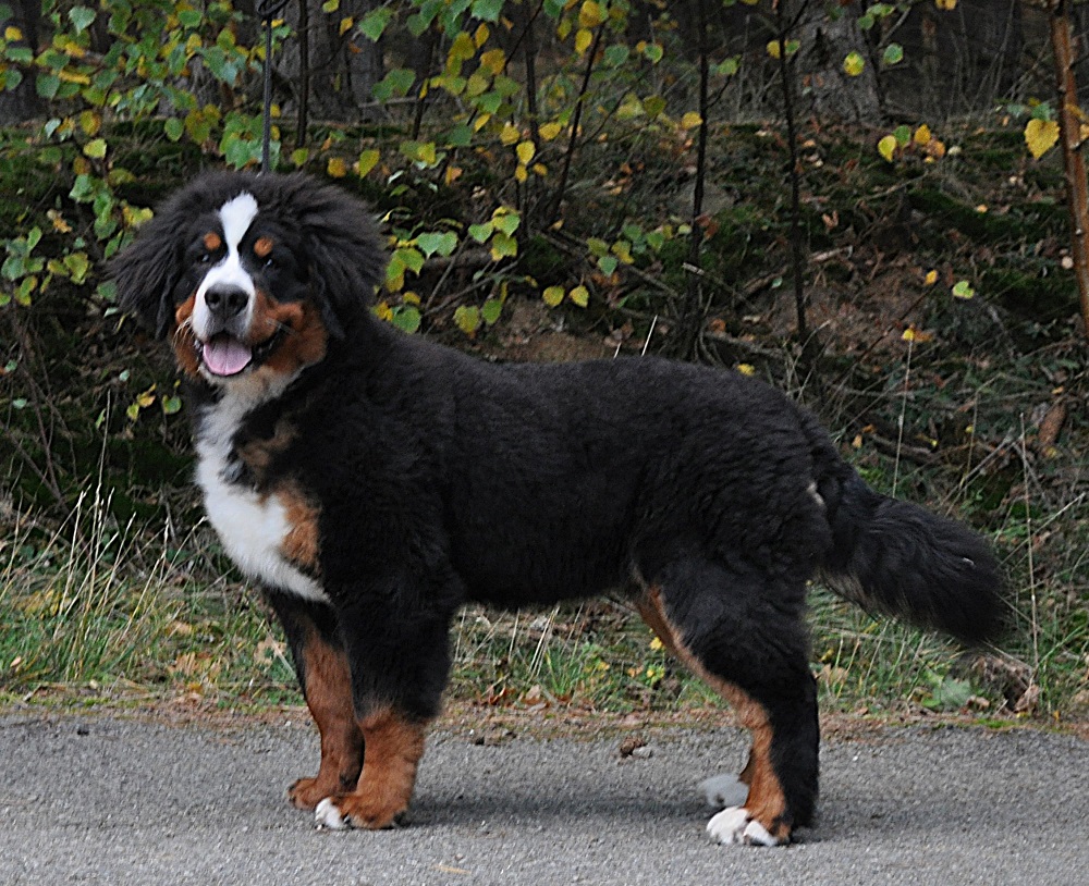 5m